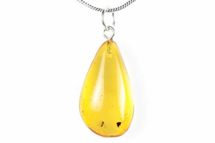 Polished Baltic Amber Pendant (Necklace) - Contains Fly! #288824